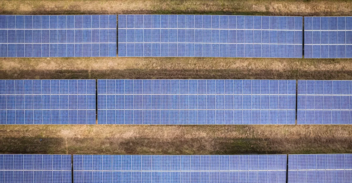 découvrez des stratégies efficaces pour réduire votre empreinte carbone et contribuer à la protection de l'environnement.