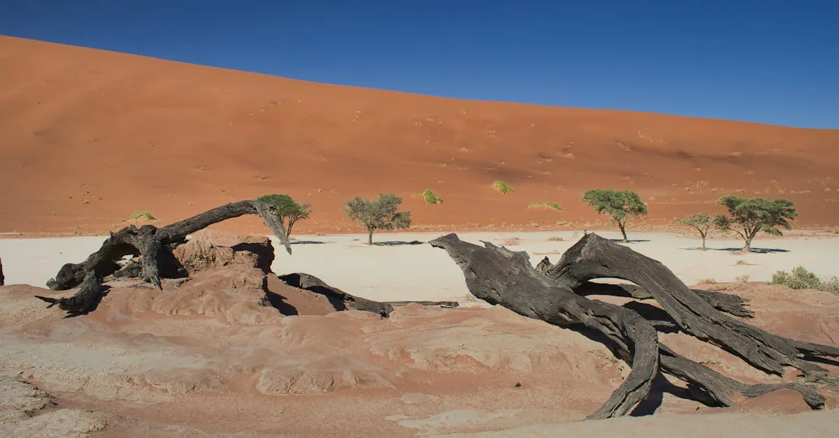 découvrez comment dimensionner correctement votre pompe à chaleur pour optimiser son efficacité énergétique et réduire vos coûts de chauffage.