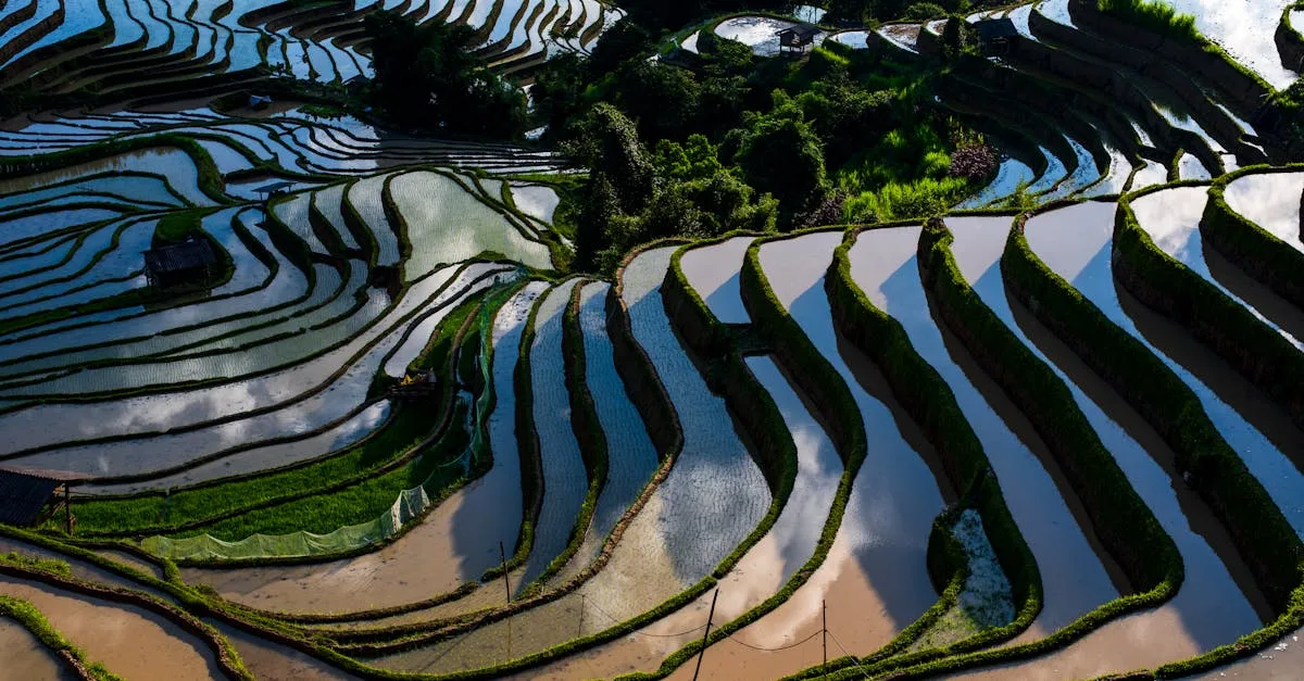 découvrez les méthodes efficaces de stabilisation des talus pour prévenir les glissements de terrain et assurer la sécurité des infrastructures.