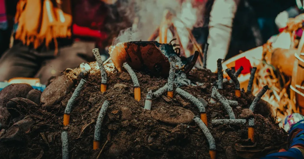 découvrez des habitudes durables pour réduire votre impact environnemental au quotidien et adopter un mode de vie éco-responsable.