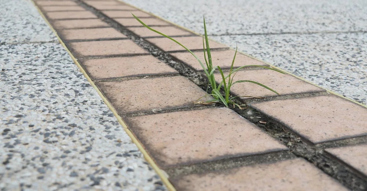 découvrez notre gamme d'expansion joints de haute qualité, conçus pour absorber les dilatations et contraintes dans divers systèmes industriels, assurant durabilité et performance optimale.