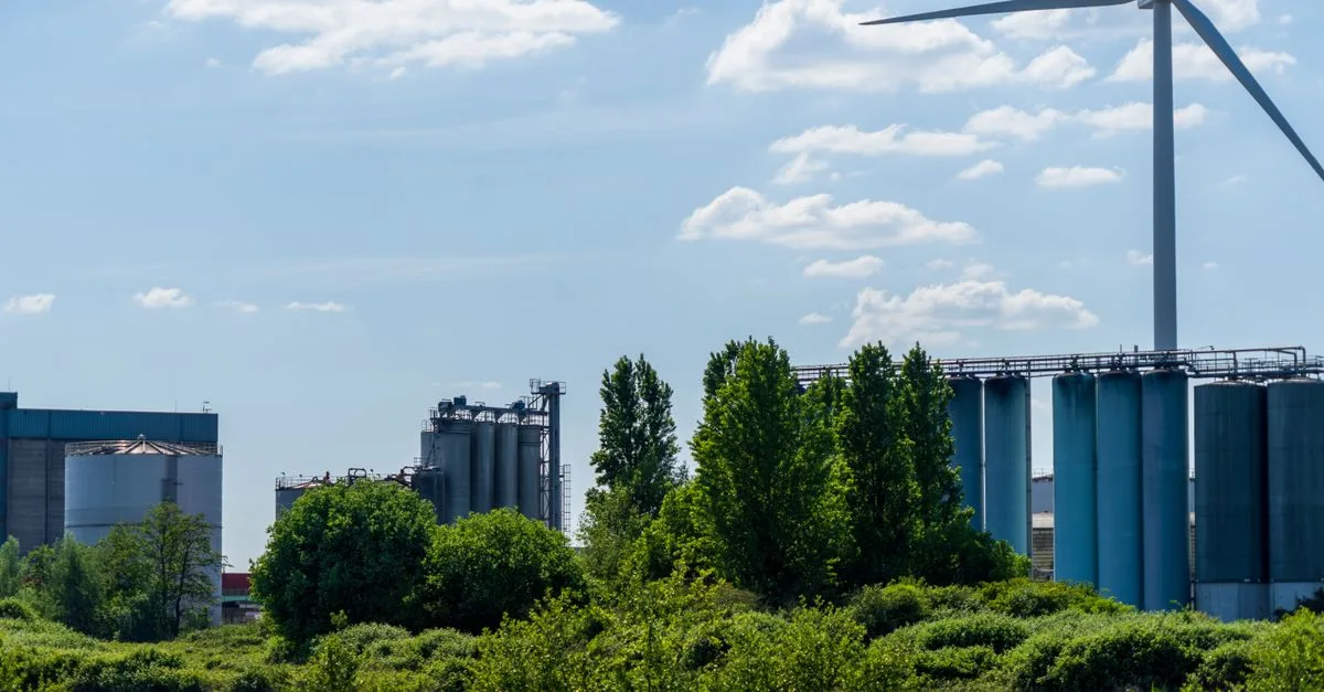 découvrez les réglementations environnementales essentielles pour protéger la nature et assurer un développement durable. informez-vous sur les lois et normes en vigueur.
