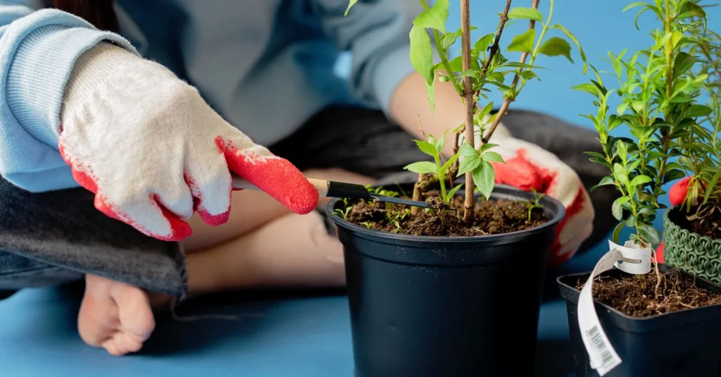 guide complet de taille des plantes : techniques, conseils et astuces pour entretenir vos végétaux et stimuler leur croissance.